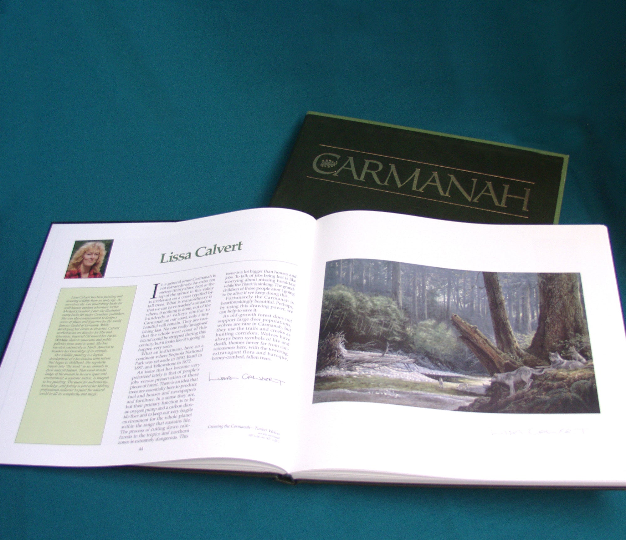 A shot of the inside of the book - there is a photo of writer Lissa Calvert on  the right on top of text, and a photo a river bank on the next page. End of image description.