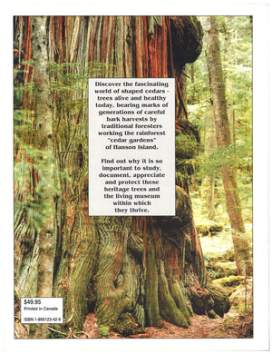 The back of the book with an old-growth tree and a summary of the book. End of image description.