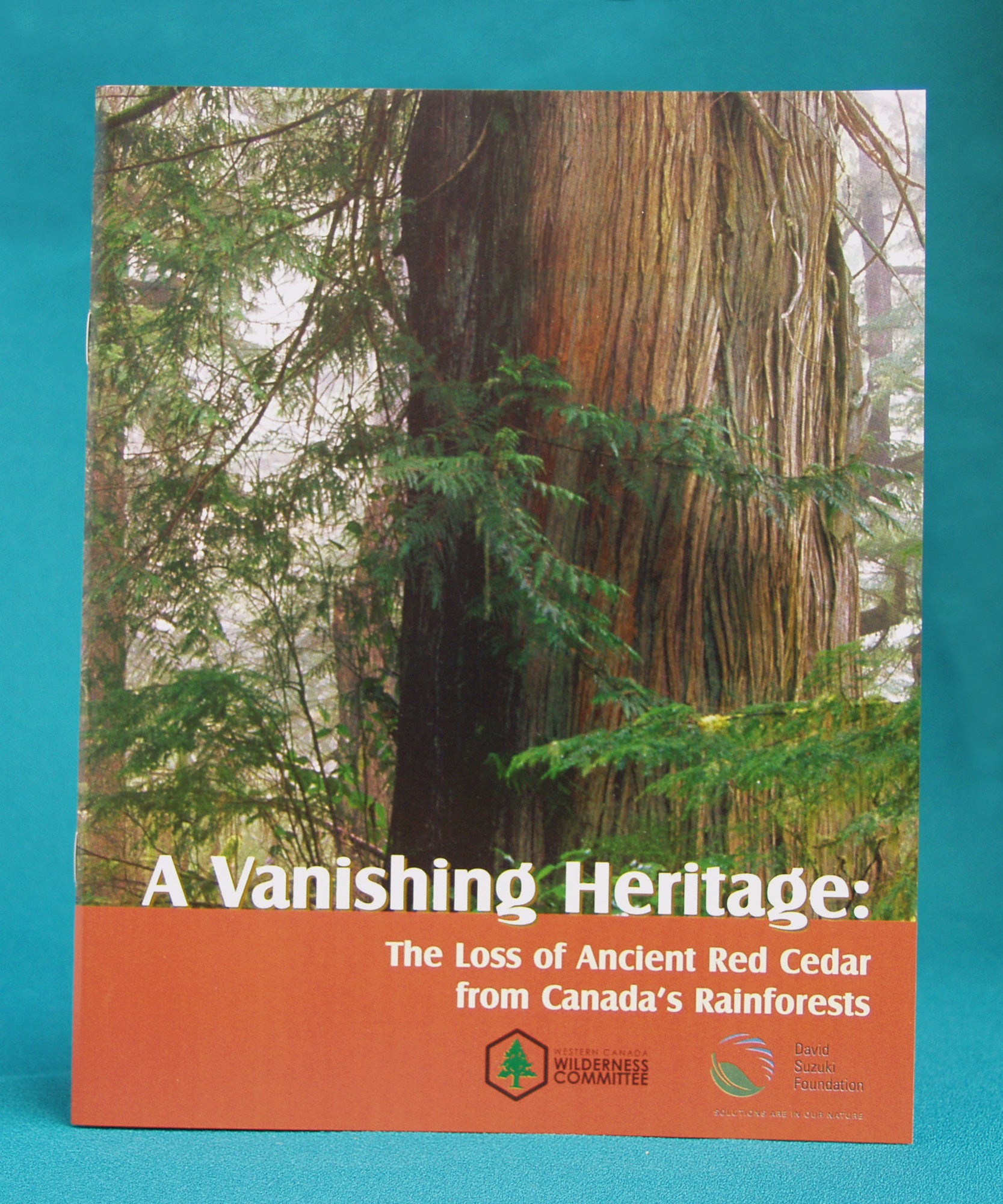 A book. There is a large cedar tree on the cover. Text on the book's cover says "A Vanishing Heritage: The Loss of Ancient Red Cedar from Canada's Rainforests." End of text. There are various logos on the bottom. End of image description.