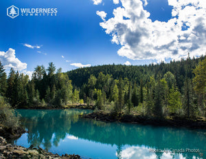 2025 Wild Canada Endangered Species and Spaces Calendar