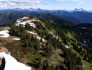 2025 Wild Canada Endangered Species and Spaces Calendar