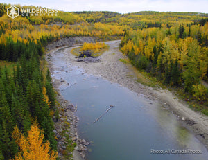 2025 Wild Canada Endangered Species and Spaces Calendar