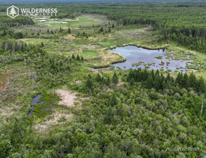 2026 Wild Canada Endangered Species and Spaces Calendar