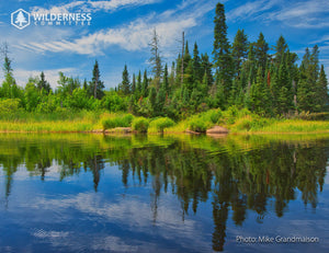 2026 Wild Canada Endangered Species and Spaces Calendar