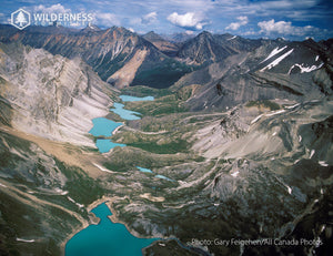 2026 Wild Canada Endangered Species and Spaces Calendar