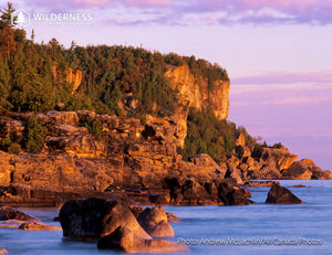 2026 Wild Canada Endangered Species and Spaces Calendar