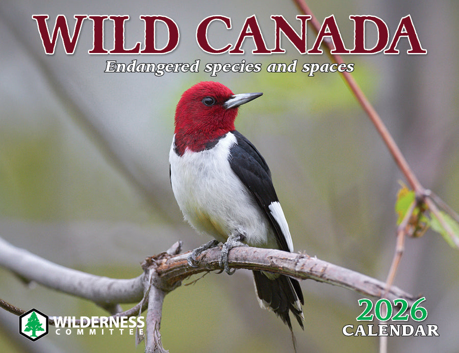 2026 Wild Canada Endangered Species and Spaces Calendar