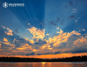2027 Wild Canada Endangered Species and Spaces Calendar