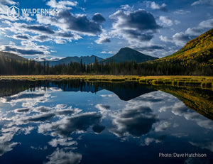 2027 Wild Canada Endangered Species and Spaces Calendar