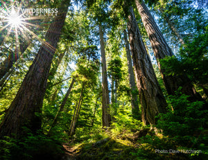 2027 Wild Canada Endangered Species and Spaces Calendar