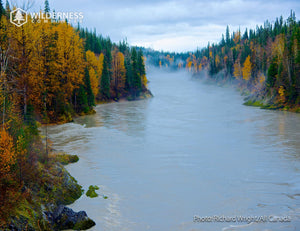 2027 Wild Canada Endangered Species and Spaces Calendar