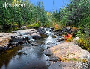 2027 Wild Canada Endangered Species and Spaces Calendar