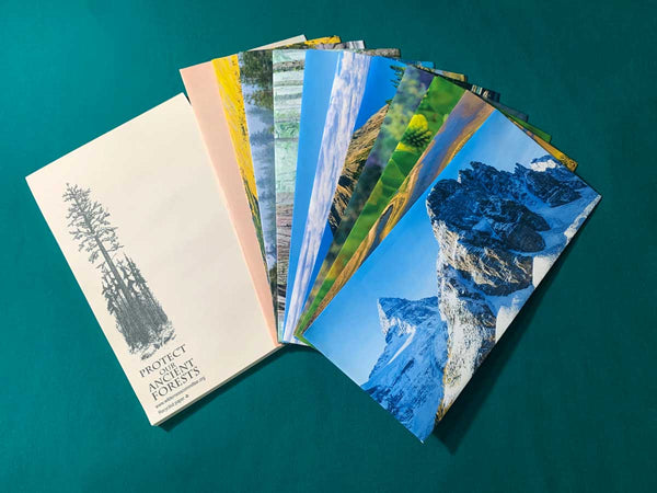 Recycled Paper Pads - Wilderness Committee