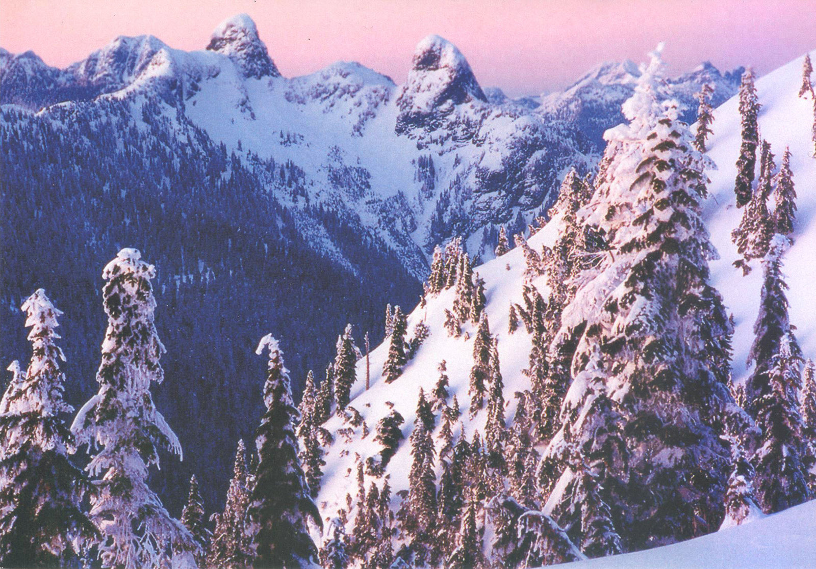 Mount Seymour Lions card