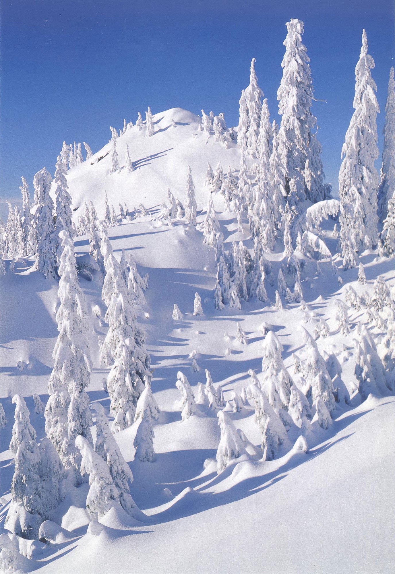 Mount Seymour Provincial Park