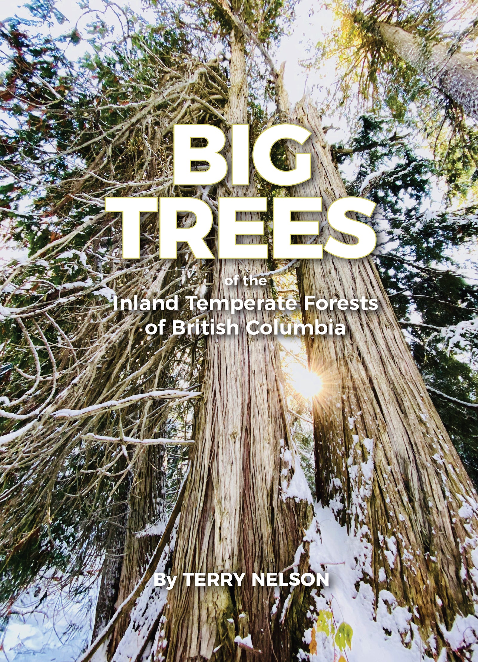 Big Trees of the Inland Temperate Forests of BC