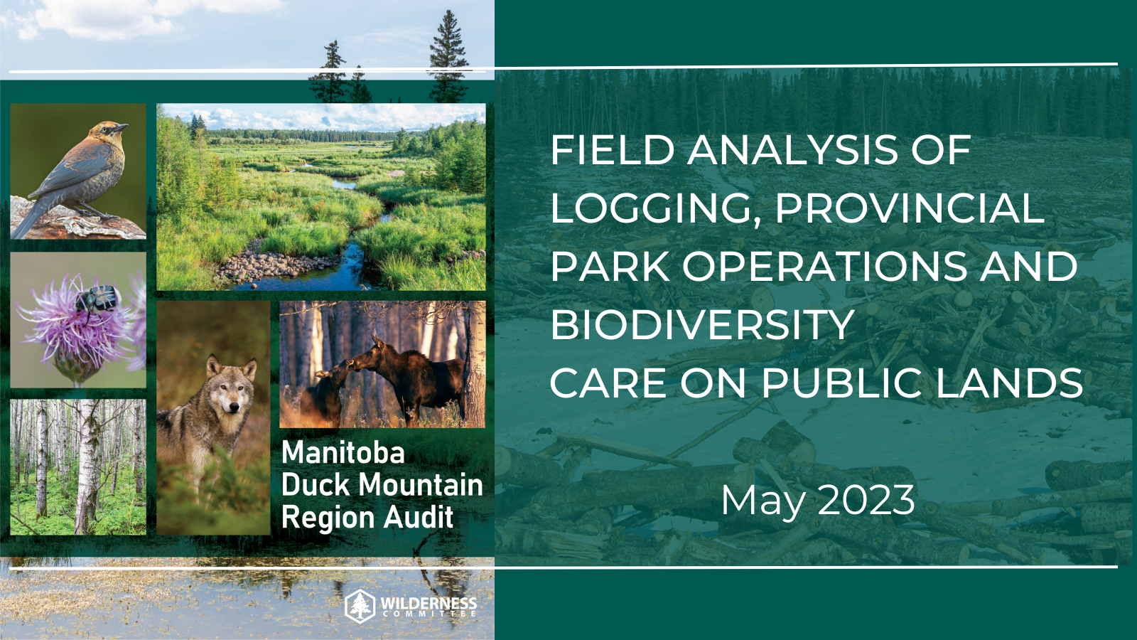 Manitoba Duck Mountain Region Audit