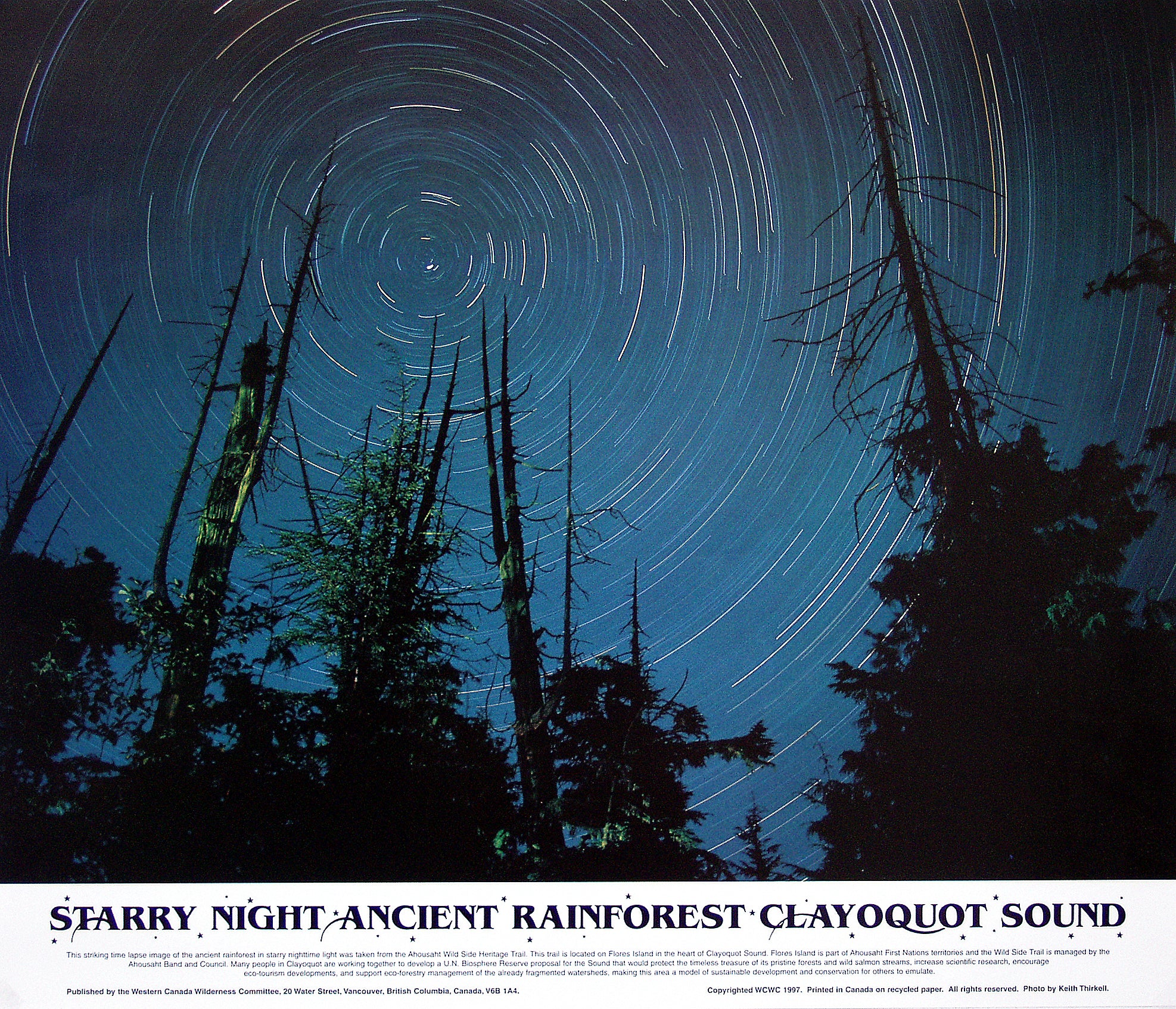 A shot of stars in the sky in a forest, the shot is take to look like they're spinning. Text over the image says "Starry Night Ancient Rainforest Clayquot Sound." End of image description.
