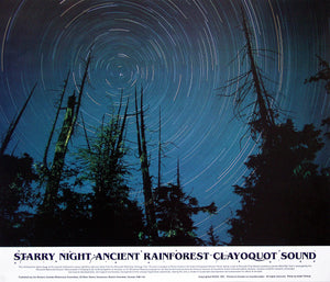 A shot of stars in the sky in a forest, the shot is take to look like they're spinning. Text over the image says "Starry Night Ancient Rainforest Clayquot Sound." End of image description.