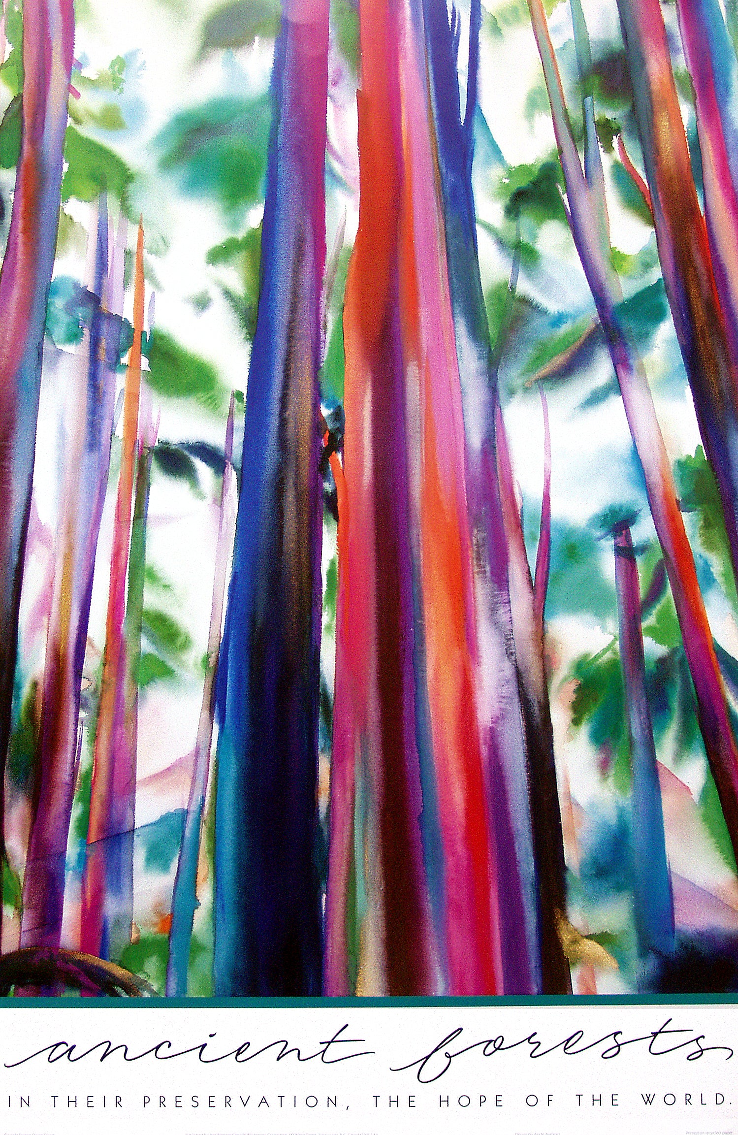 A poster of a water colour painting of a forest from the ground up. Text over the image says "Ancient Forests in their preservation. The hope of the world." End of image description.