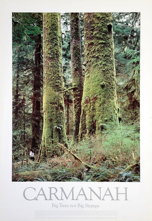 Big trees poster pack