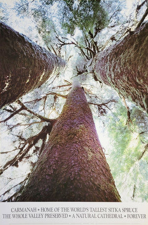 Big trees poster pack