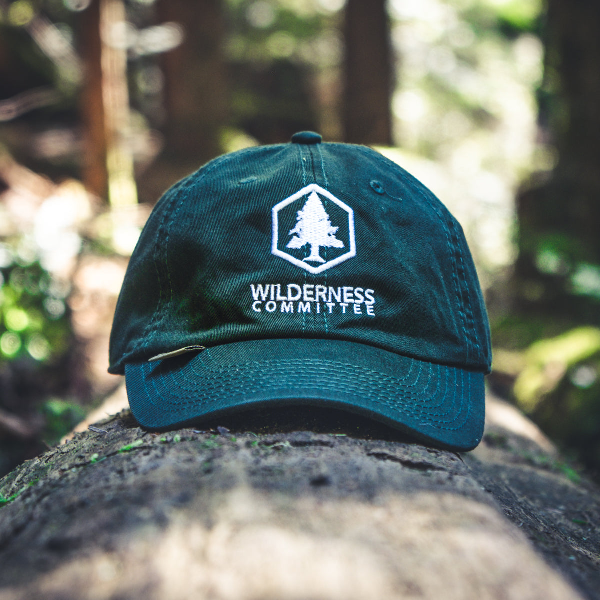 A hat with the Wilderness Committee logo on it, resting on a log. End of image description.