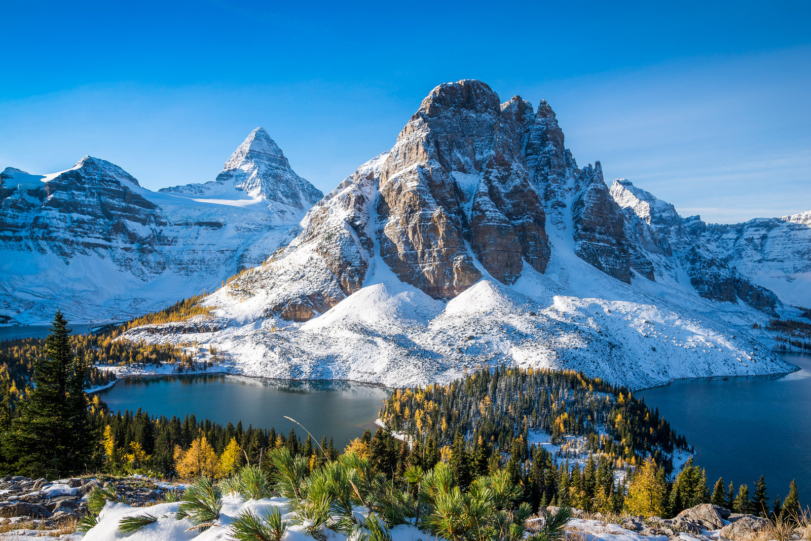 Snowy mountains and forests. End of image description.