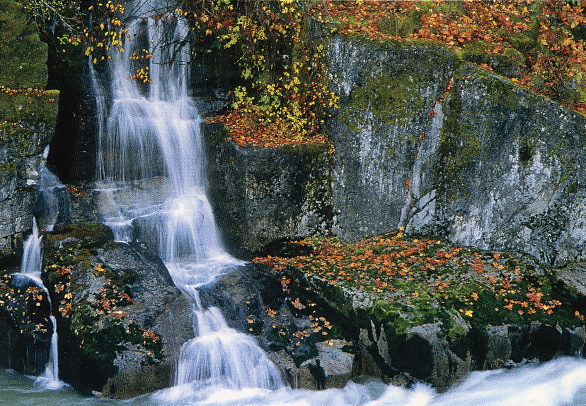 A waterfall surrounded by mossy rocks and fall leaves. End of image description.