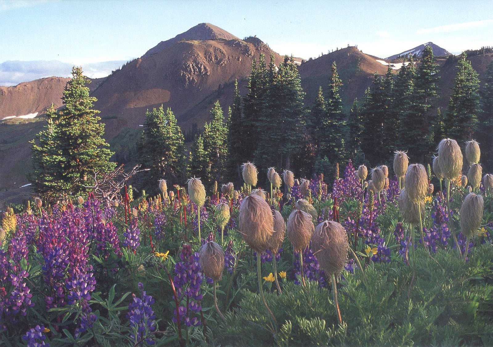 Monumental mountains card set