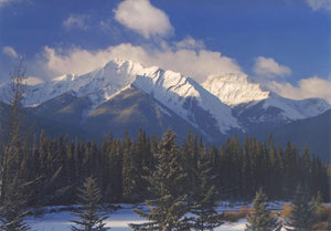 Winter landscape card set