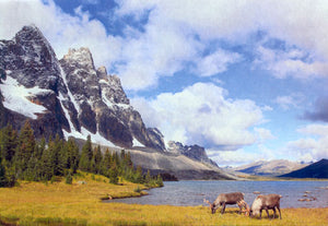 Two caribous grazing near a river and mountain. End of image description.