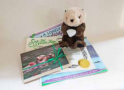 A stuffed otter with some paper. End of image description. 