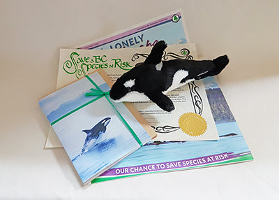 A stuffed orca, along with some paper. End of image description. 