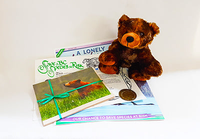 A grizzly bear stuffed animal and various papers that go along with it. End of image description. 