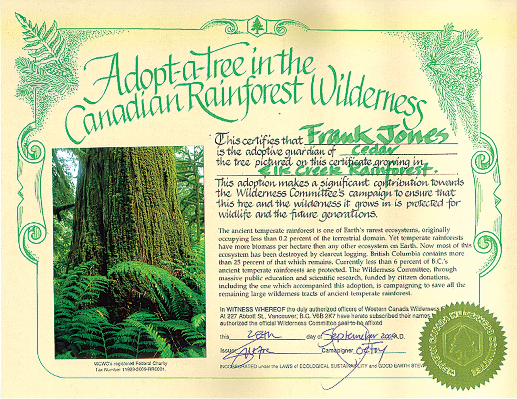Adopt-a-Tree in the Rainforest