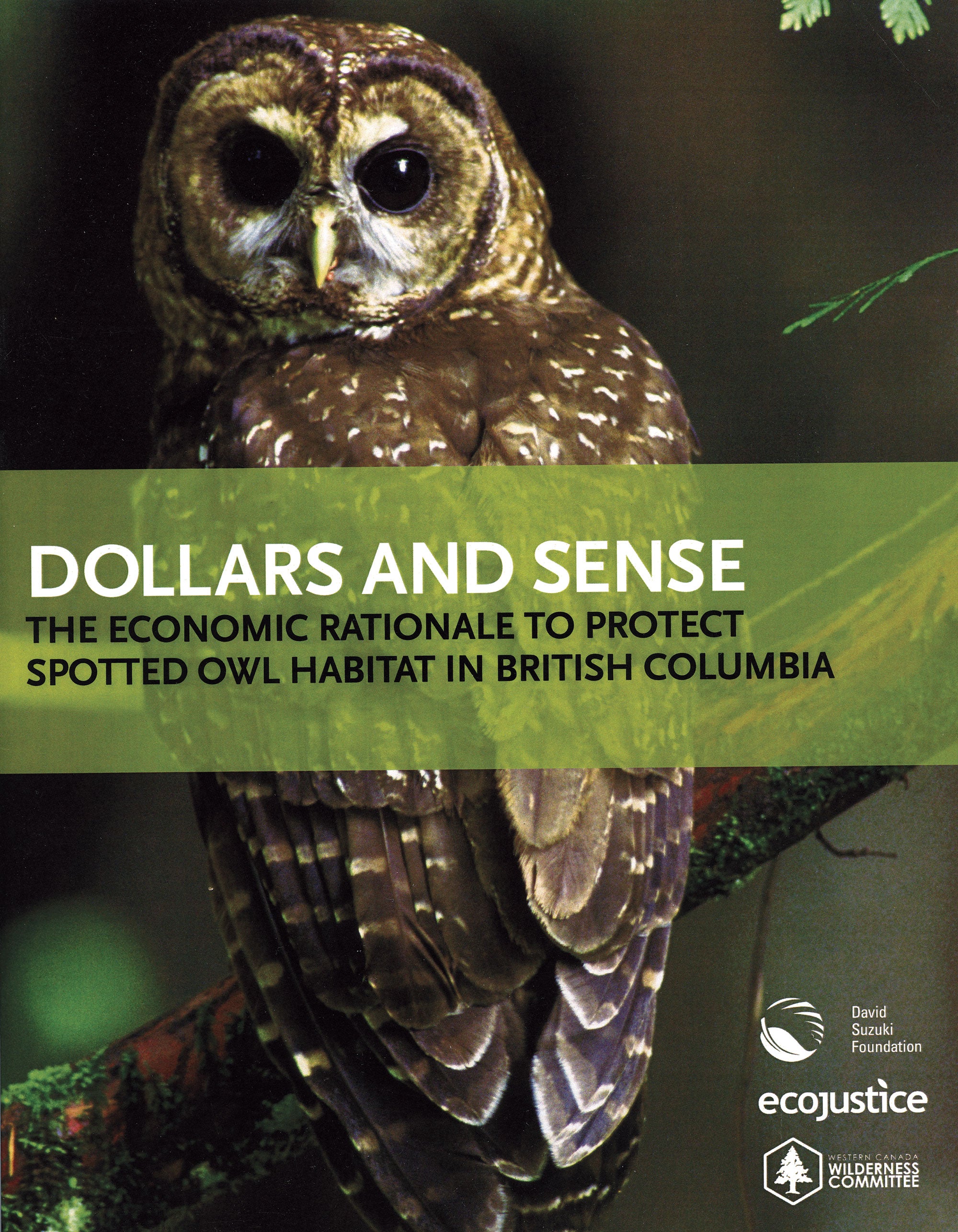 A book cover with a photo of an owl. Text over the cover says "Dollars and Sense. The economic rationale to protect owl habitat in British Columbia." There are logos of the David Suzuki Foundation, ecojustice and Wilderness Committee on the right. End of image description.