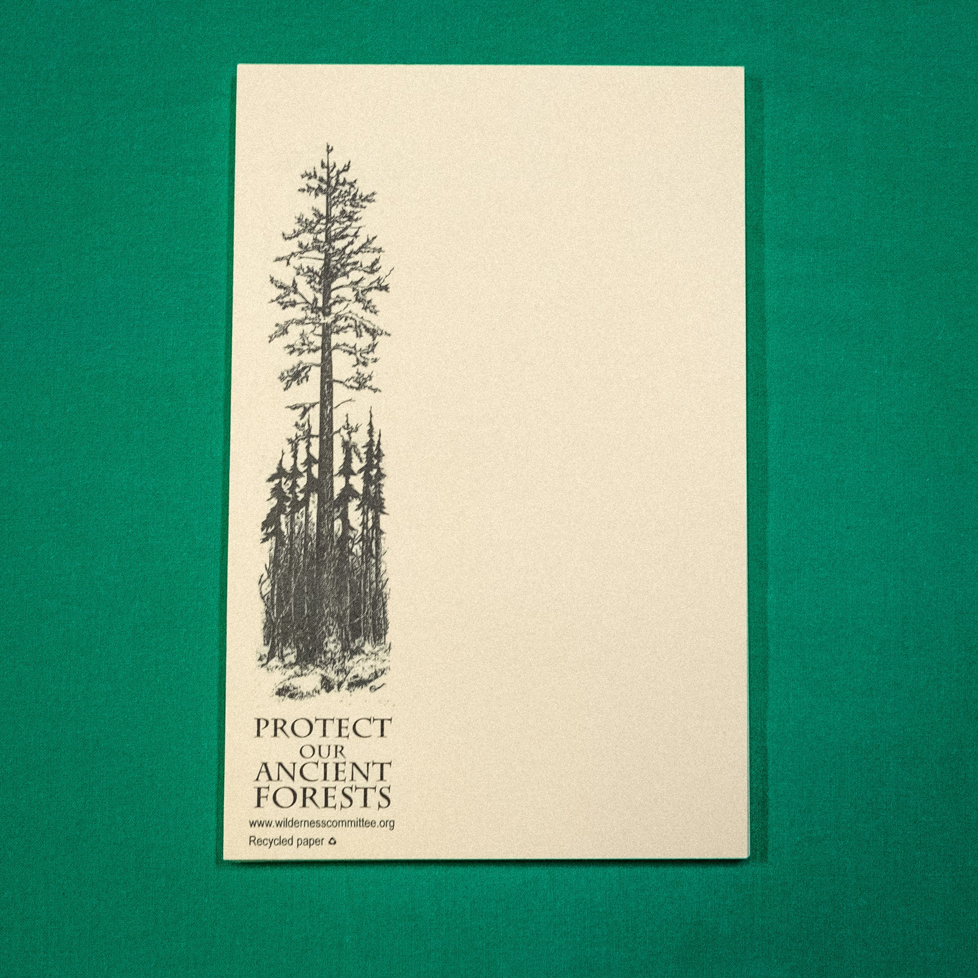A recycled paper pad with an ink stamp of an old-growth tree and text that says "Protect our Ancient Forests." End of image description. 